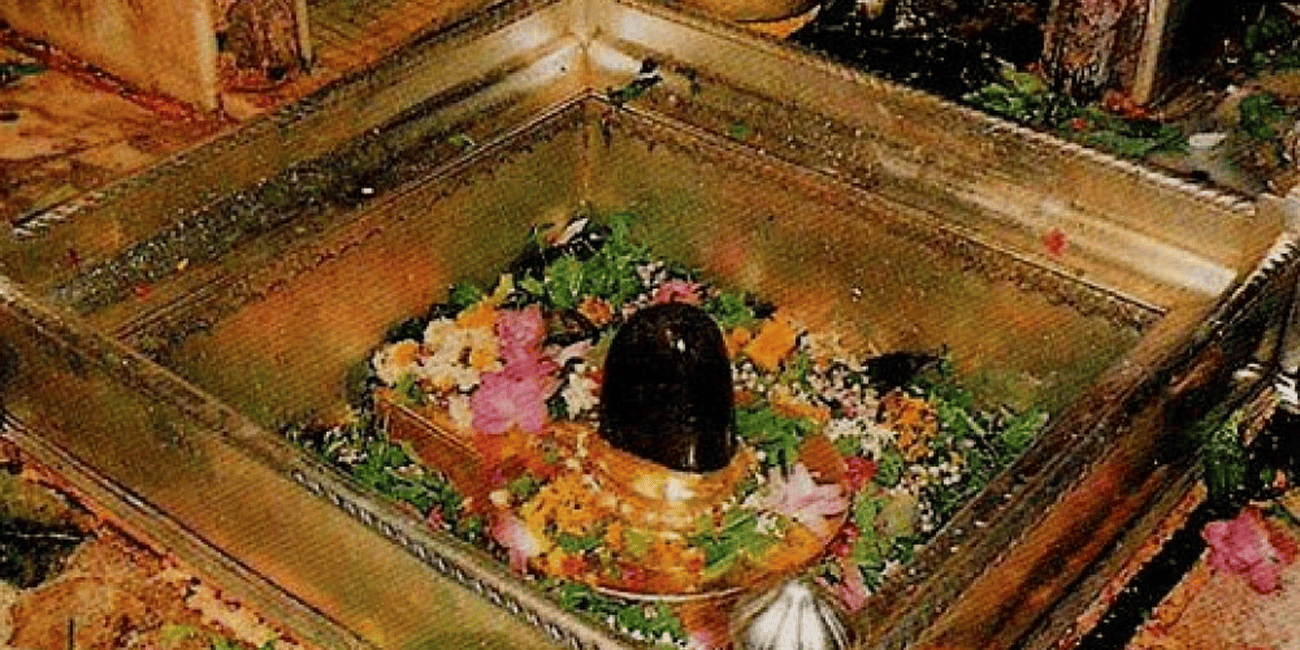 Lingam inside Kashi Vishwanath Temple